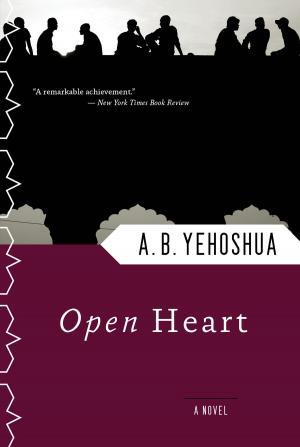 Cover of the book Open Heart by Eleanor Estes