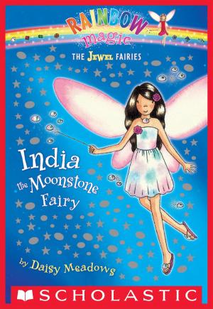 Cover of the book Jewel Fairies #1: India the Moonstone Fairy by Hilde Lysiak, Matthew Lysiak