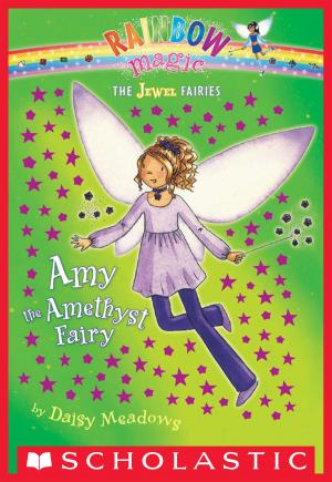Cover of the book Jewel Fairies #5: Amy the Amethyst Fairy by Wendy Mass