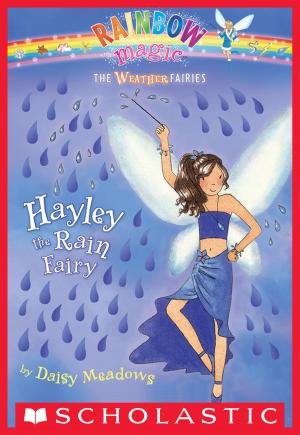 Cover of the book Weather Fairies #7: Hayley the Rain Fairy by Ann M. Martin