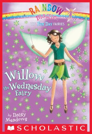 Cover of the book Fun Day Fairies #3: Willow the Wednesday Fairy by Dan Poblocki