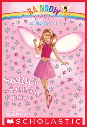Cover of the book Fun Day Fairies #6: Sienna the Saturday Fairy by Jackie Urbanovic