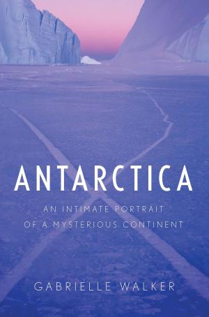 Cover of the book Antarctica by Eleanor Estes