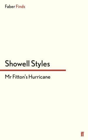 Book cover of Mr Fitton's Hurricane