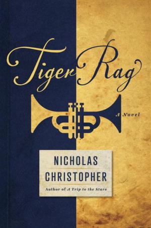 Book cover of Tiger Rag