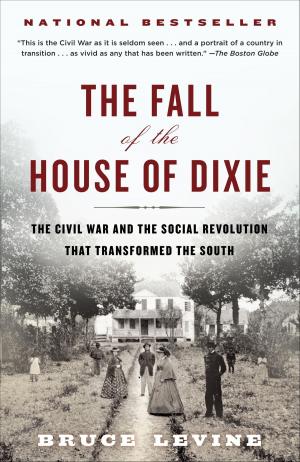 Cover of the book The Fall of the House of Dixie by Warren Fahy