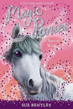 Cover of the book A Special Wish #2 by Chaney Murray