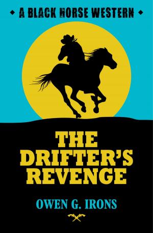 Cover of the book The Drifter's Revenge by Owen G. Irons