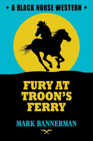 Cover of the book Fury at Troon's Ferry by Maggie Lane