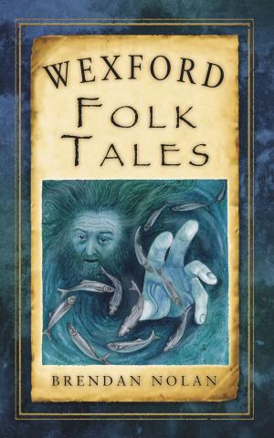 Book cover of Wexford Folk Tales
