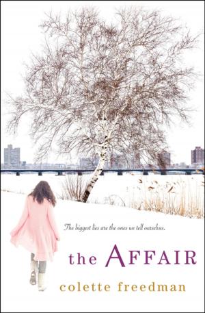 Cover of the book The Affair by Elysa Hendricks