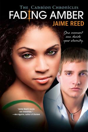 Cover of the book Fading Amber by Anna Lee Huber