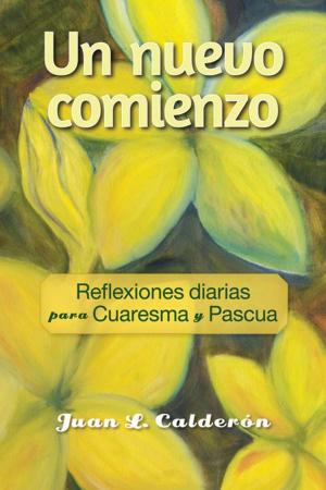 Cover of the book Un nuevo comienzo by Rita Bresnahan