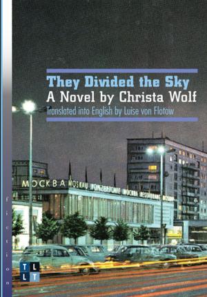 Cover of They Divided the Sky