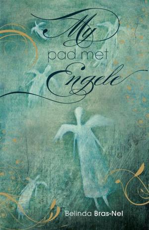 Cover of the book My pad met engele by Alda Geers