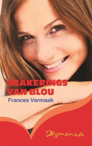 Book cover of Skakerings van blou
