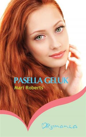 Book cover of Pasella geluk