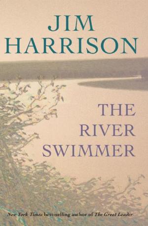 Cover of the book The River Swimmer by Edward Luce