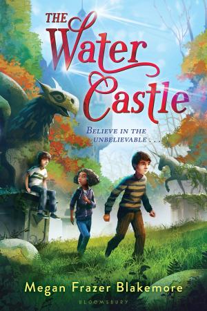 Cover of the book The Water Castle by Hugh MacMillan, Frank Shapiro