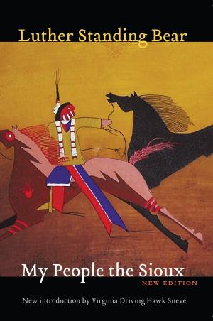 Cover of the book My People the Sioux by Elizabeth Stuart Phelps