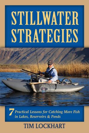 Cover of the book Stillwater Strategies by Columbia-Capstone