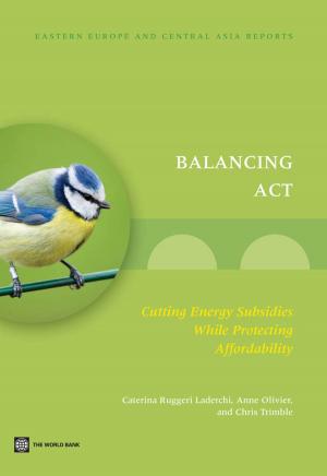 Cover of the book Balancing Act by Somik Vinay Lall, J. Vernon Henderson, Anthony J. Venables