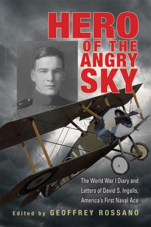 Cover of the book Hero of the Angry Sky by Terence A. Harkin