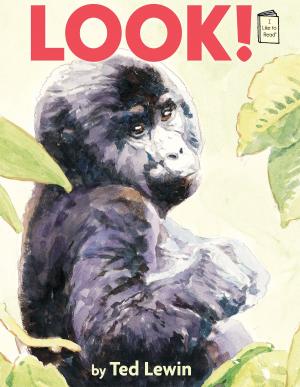 Cover of the book Look! by Kate Maddison