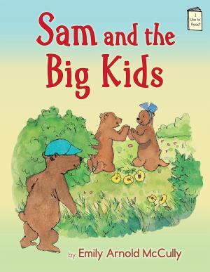 Cover of the book Sam and the Big Kids by Katelyn Detweiler