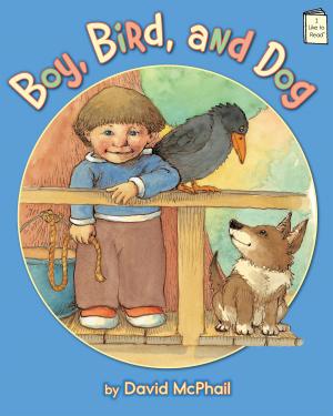 Book cover of Boy, Bird, and Dog