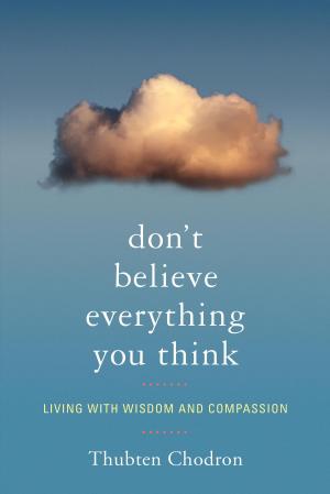 Cover of the book Don't Believe Everything You Think by Chogyam Trungpa