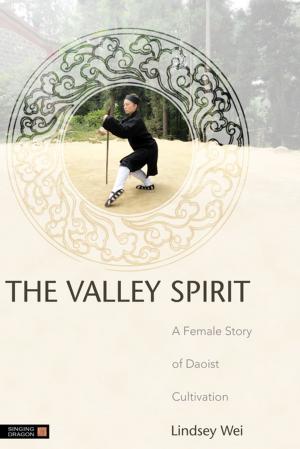 Cover of the book The Valley Spirit by Samantha McDermid, Lisa Holmes