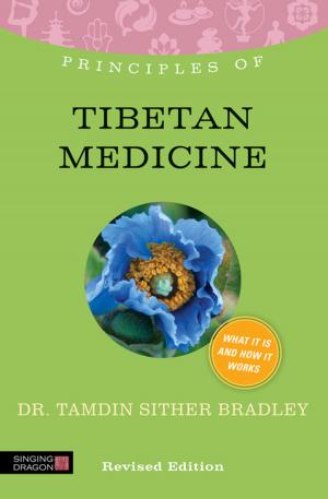 Cover of the book Principles of Tibetan Medicine by 朱立安．巴吉尼(Julian Baggini)