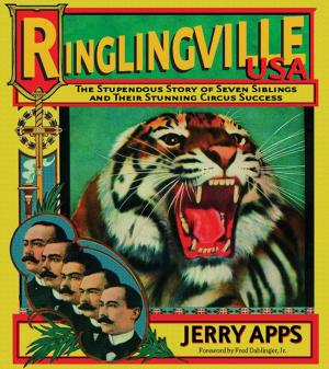 Cover of the book Ringlingville USA by Michael Perry, Andrea-Teresa Arenas, Eloisa Gómez