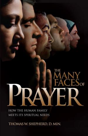 Cover of the book The Many Faces of Prayer by Robert Brumet