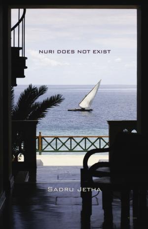 Cover of the book Nuri Does Not Exist by Dennis Huffington