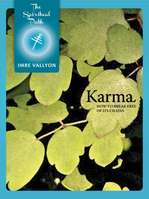 Cover of the book Karma by Imre Vallyon