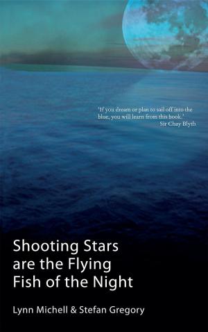 Cover of the book Shooting Stars Are The Flying Fish Of The Night by Kristin Armstrong