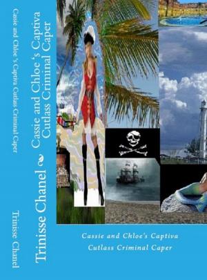 Cover of the book Cassie and Chloe's Captiva Cutlass Criminal Caper by Blaine Hart
