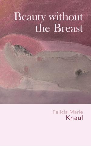 Cover of the book Beauty without the Breast by Susie J. Pak