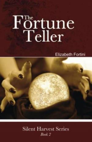 Cover of the book The Fortune Teller by Scott Free