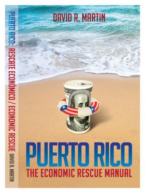 Book cover of Puerto Rico: The Economic Rescue Manual