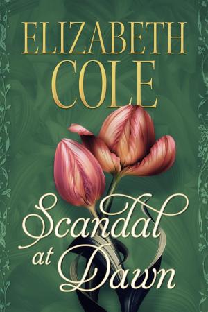 Cover of the book Scandal at Dawn by Elizabeth Cole