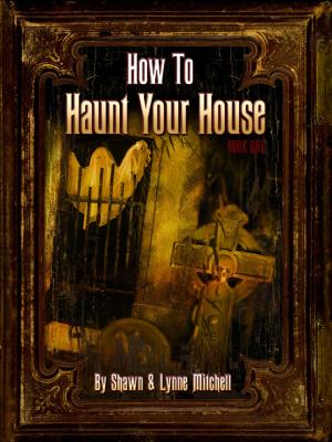 Cover of the book How to Haunt Your House, Book One by Erica Tanov