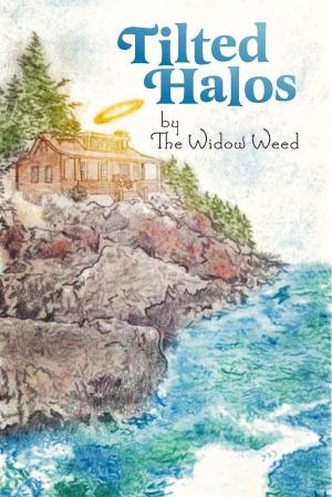 Cover of the book Tilted Halos by Patricia A. Rasey