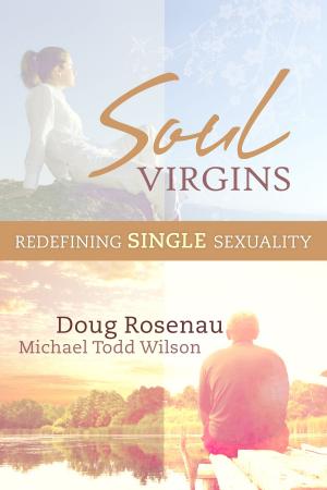 Book cover of Soul Virgins: Redefining Single Sexuality