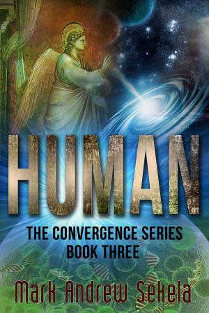 Cover of the book Human by N. R. Hairston