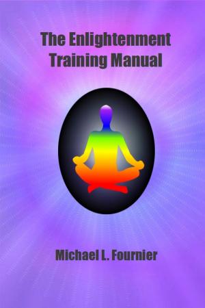 Book cover of The Enlightenment Training Manual