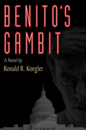 Cover of the book Benito's Gambit by Jan van Duyker
