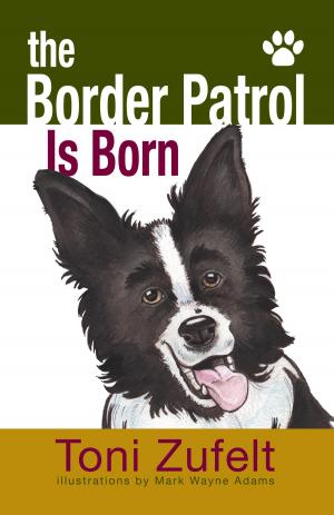 Cover of the book The Border Patrol Is Born! by Gavin, roSS